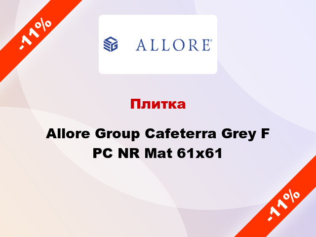 Плитка Allore Group Cafeterra Grey F PC NR Mat 61x61