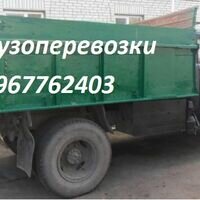 Продавец Виталий Новожицкий